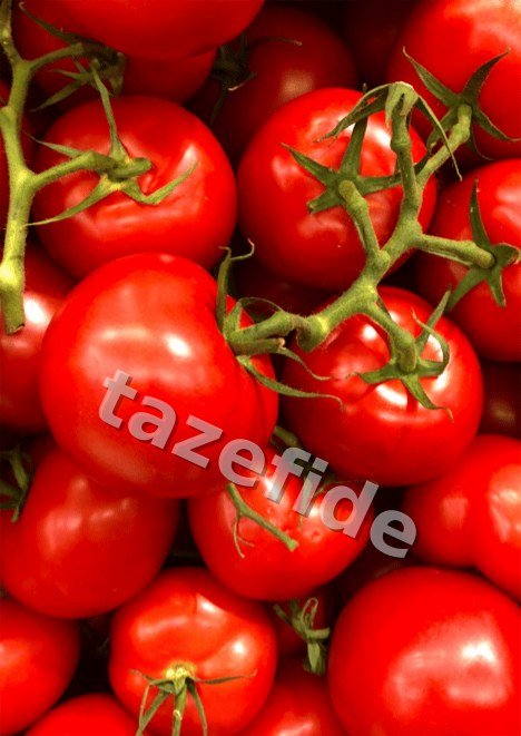 Siyah Karpuz 10 gr