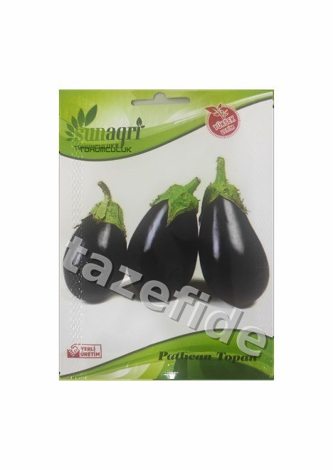 Sertifikalı Rubygem Çilek Fideleri 1000 adet