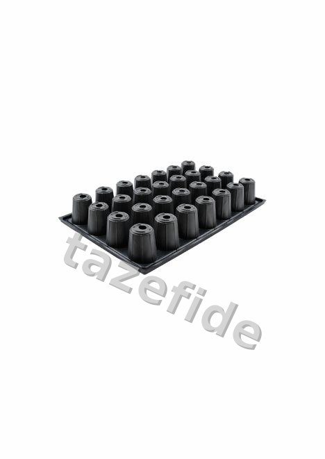 28 Göz 10 adet Fide Viyolü