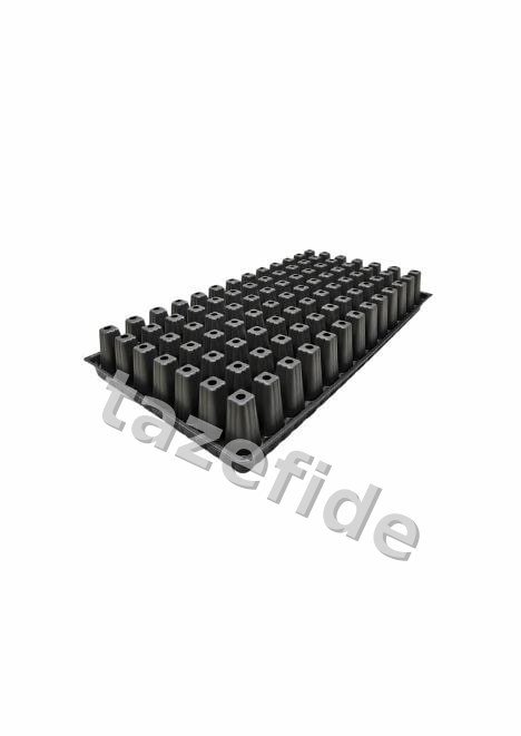 104 Göz 100 adet Fide Viyolü