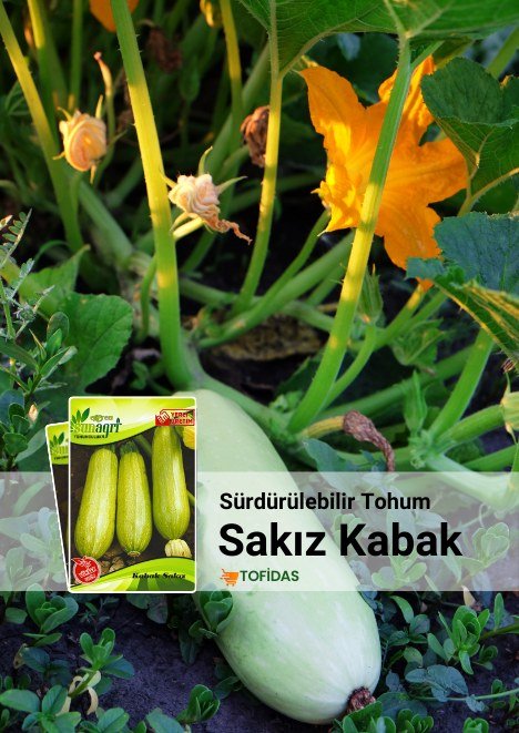 Syngenta İsabion Hayvansal İçerikli Amino Asit 1 LT