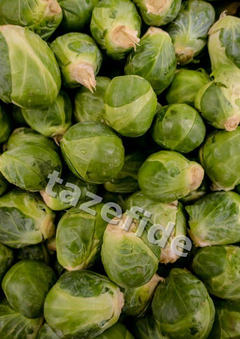 Şeker Pancarı Tohumu 10 g