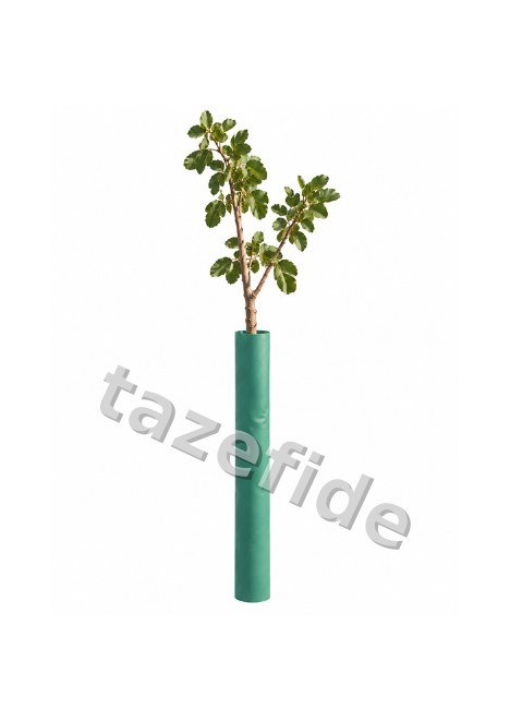 Sarı Kışlık Kavun Tohumu 5 gr