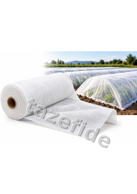 Fare Kulağı Tohumu (Dichondra Repens) 1 Kg