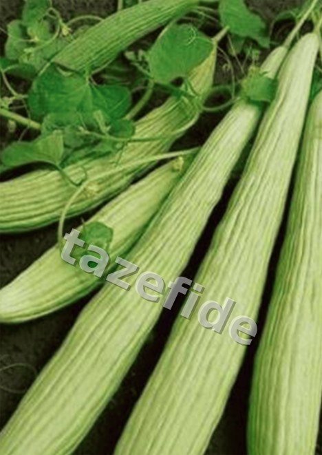 Yeşil Soğan Tohumu 5 gr