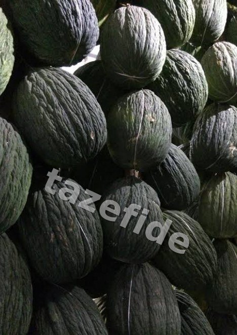 Helinda Gold Fasulye Tohumu 25 gr