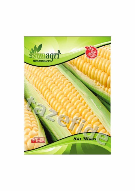 Su kabağı Tohumu ek görsel