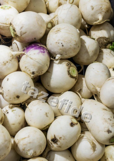 Havuç Tohumu 1200 adet